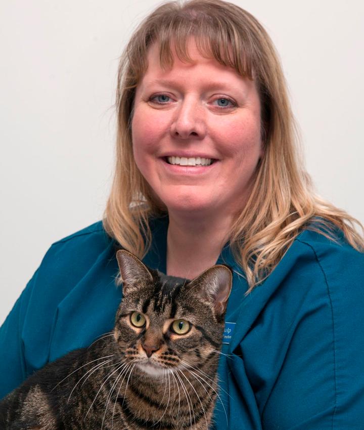 Cat Veterinarians in Grand Rapids Experienced Veterinarians